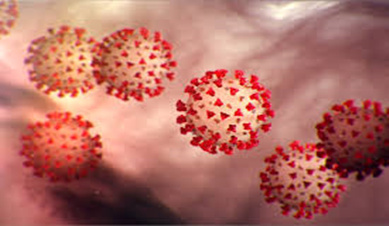  Is water amusement park affected by corona-virus outbreak?