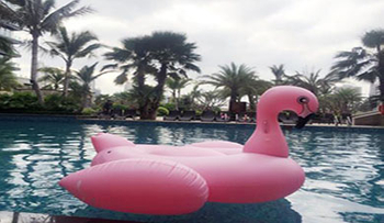 How Much Do You Know about Inflatable Pools?