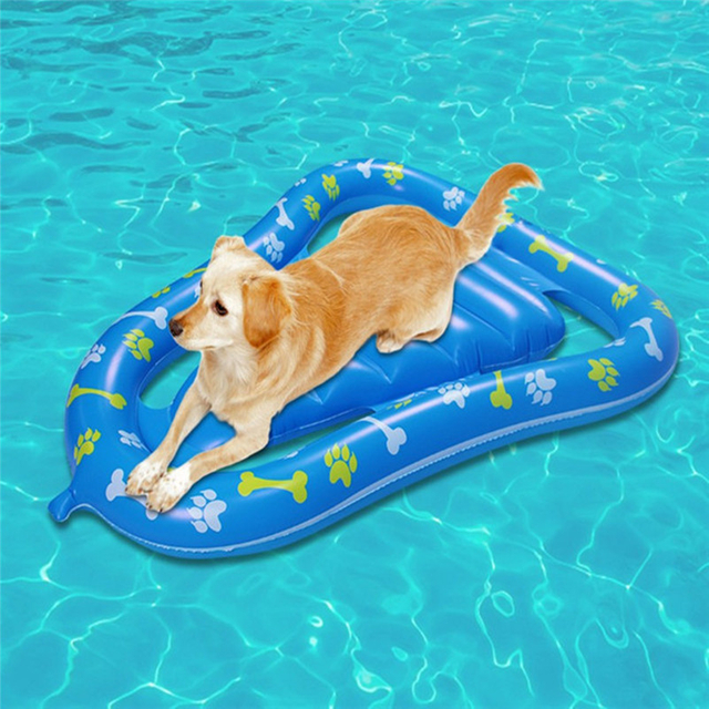 dog friendly pool floats